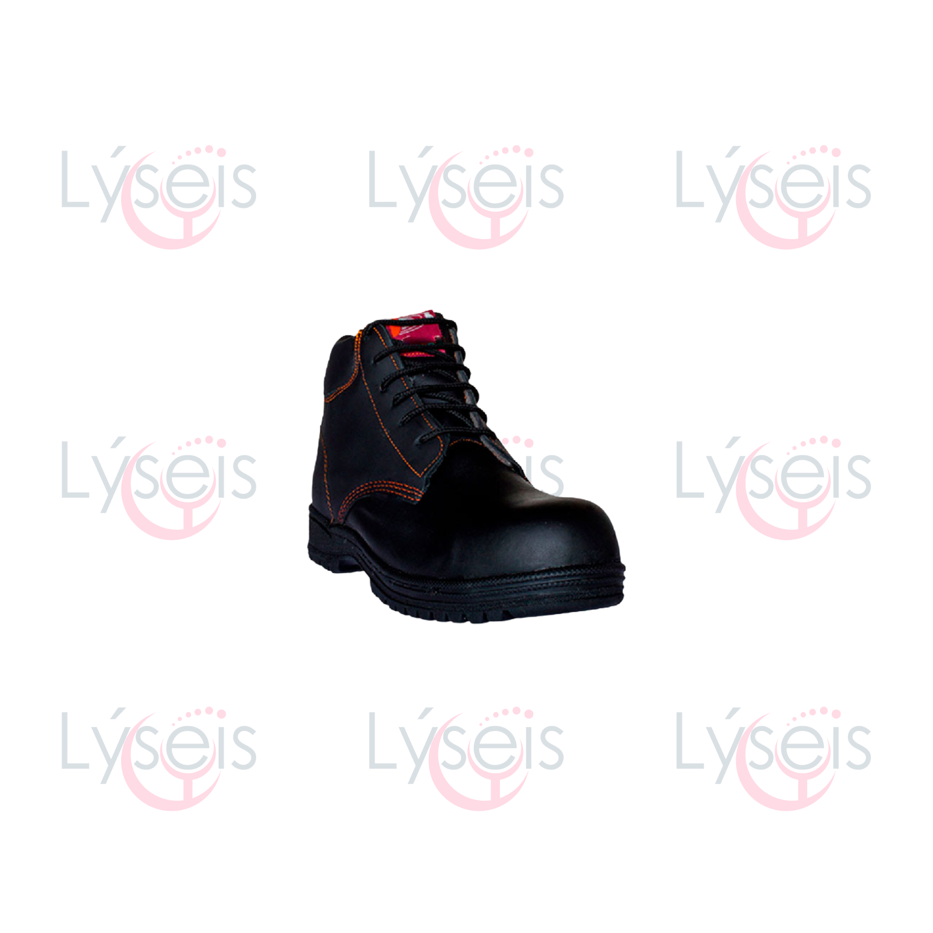 Zapato Tipo Borceguí Modelo 750