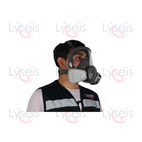 Mascarilla Cara Completa